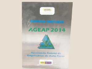 Eleita empresa Destaque em 2014 - AGEAP